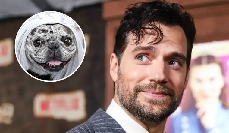 Henry Cavill se encontró con la perrita Rory, que se hizo viral semanas atrás por estar enamorada del actor.