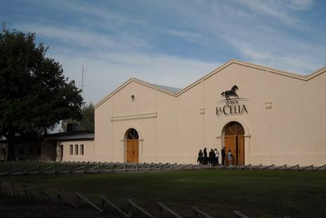 La Bodega elegida para la gala de los Martín Fierro. La Bodega elegida para la gala de los Martín Fierro.