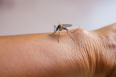 Foto: Shutterstock Foto: Shutterstock