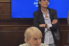 Silvana Giudici participó durante tres meses de trabajo en comisiones. Foto: X Giudici Silvana Giudici participó durante tres meses de trabajo en comisiones. Foto: X Giudici