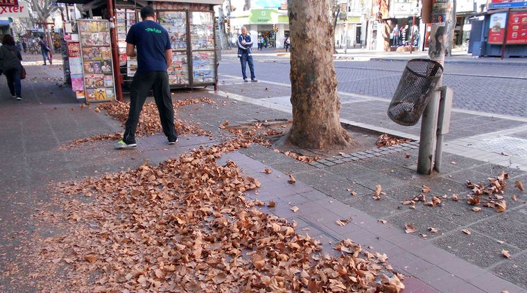 Foto: Alf Ponce / MDZ