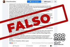 son falsas las afirmaciones de chinda brandolino sobre la vacuna contra el nuevo coronavirus