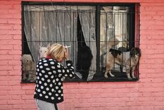 Los indicadores marcan que la pobreza seguirá en aumento Foto: Juan Ignacio Blanco/MDZ