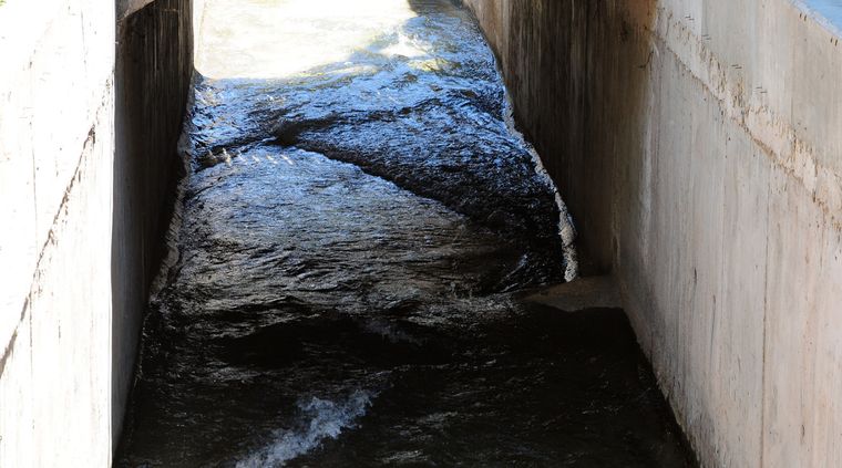 Foto: ALF PONCE MERCADO / MDZ