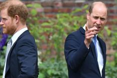 El Príncipe William viajó a Estados Unidos: ¿visitará a su hermano Harry?