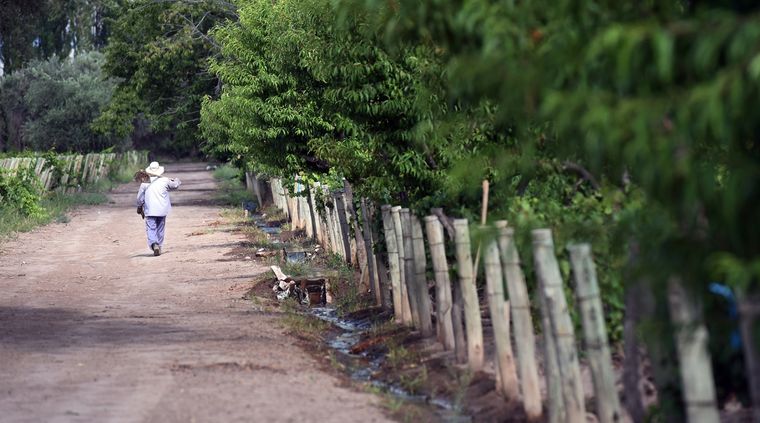 Casi un 50% del agua destinada al riego se pierde por infiltraciones
