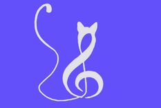 Test de personalidad