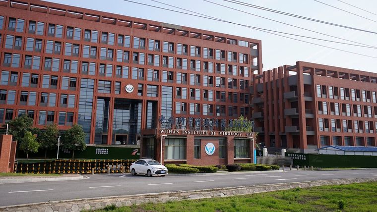 El Instituto de Virología de Wuhan (Hubei, China).