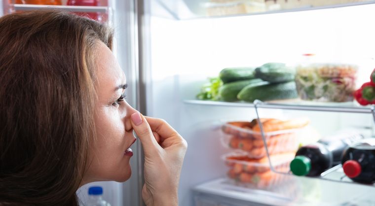 La heladera puede convertirse en un nido de bacterias. Foto: Archivo