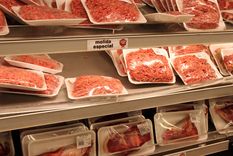 Foto: ALF PONCE MERCADO / MDZ