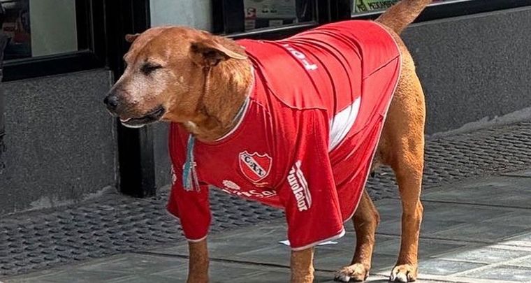 Los hinchas, enojados con los jugadores y Tevez. Foto: Twitter