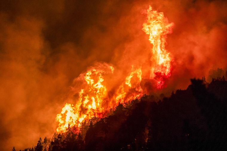 Los incendios en la Patagonia ya arrasaron con más de 4.000 hectáreas. Los incendios en la Patagonia ya arrasaron con más de 4.000 hectáreas.