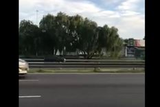 El hecho quedó captado por un vecino