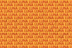 Acertijo visual Acertijo visual Foto: MDZ Online