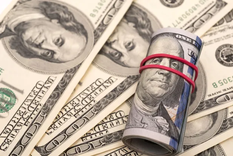 dolares: la impresionante cifra que compraron los argentinos desde la salida del cepo