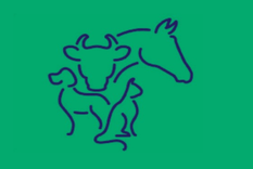 Test de personalidad Test de personalidad