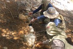 Los restos de una pirámide de 3.800 años fueron hallados en el sitio arqueológico de Chupacigarro, ocultos bajo la vegetación. Foto: Ministerio de cultura de Perú