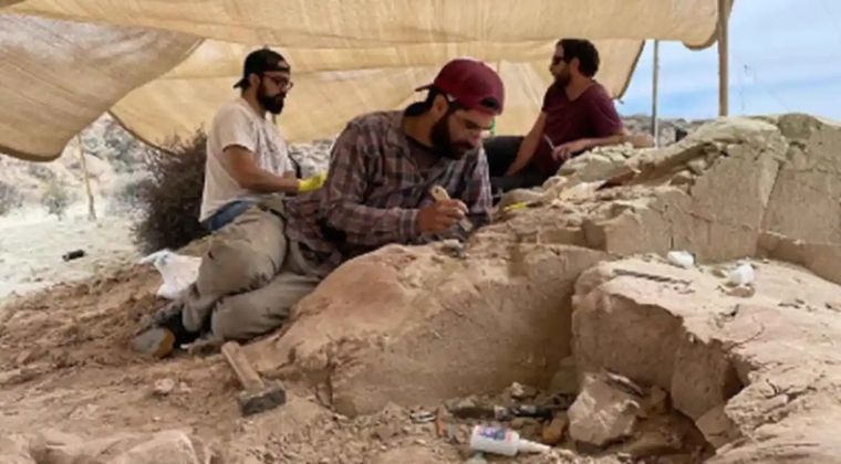 El Conicet redobla su apuesta por la divulgación científica y ahora llevará las cámaras a la Patagonia. Durante octubre, investigadores realizarán un streaming desde Río Negro, mostrando cómo excavan fósiles.