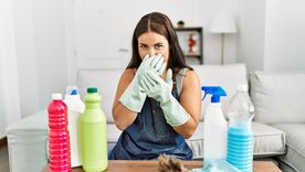 Limpiar de forma rápida evita que el olor a orina de las mascotas se impregne en pisos y muebles. Foto: Shutterstock Limpiar de forma rápida evita que el olor a orina de las mascotas se impregne en pisos y muebles. Foto: Shutterstock