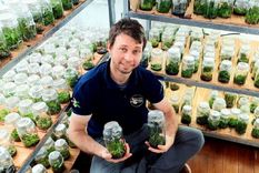 Leandro en su búnker donde cultiva orquídeas Foto: Red de Medios Misiones
