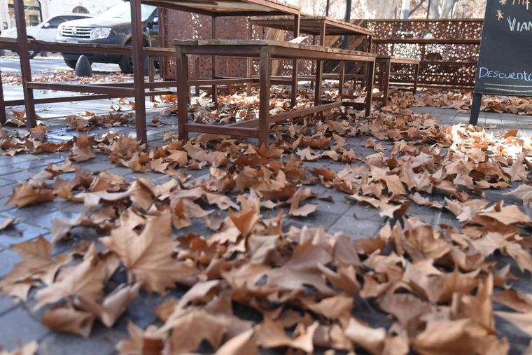 La temperatura máxima será de 31°