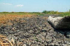 Foto: WATERAID/ DENNIS LUPENGA