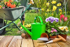 Secretos para un jardín radiante en verano Foto: Shutterstock  ?