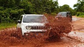 Conducción todoterreno en Brasil: los detalles del Jeep Nature Expeditions en Itajaí Conducción todoterreno en Brasil: los detalles del Jeep Nature Expeditions en Itajaí