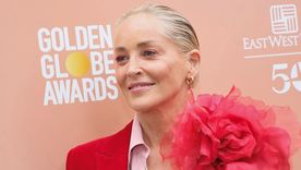 Sharon Stone contó cuál es el grave problema de salud que tiene que no la deja trabajar. Foto: Robin L. Marshall (Wireimage)