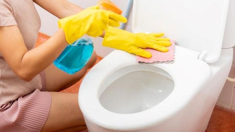 Esta es la mezcla perfecta para la limpieza del inodoro. Foto: Shutterstock