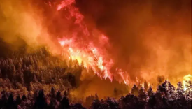 La superficie afectada alcanza unas 3.530 hectáreas. Foto: Agencia Noticias Argentinas/ redes