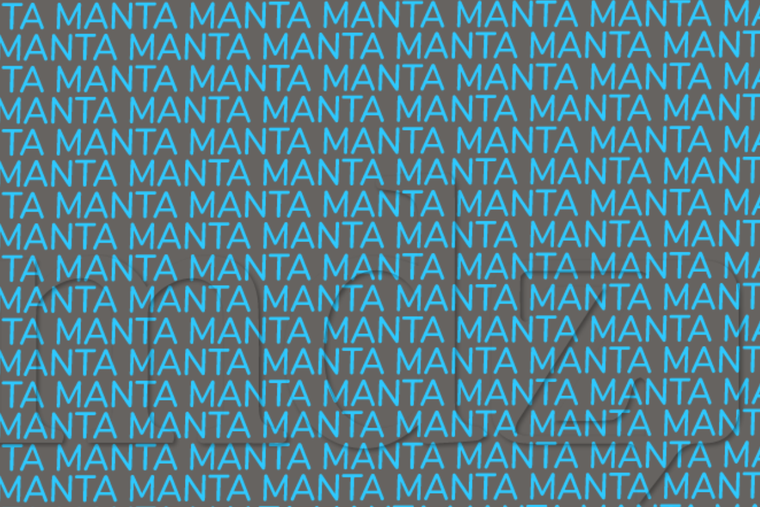 ACERTIJO VISUAL ACERTIJO VISUAL, RETO VISUAL, PALABRA. Foto: MDZ ONLINE