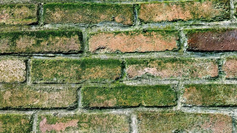 Cualquier moho que vea en el exterior podría significar que hay más dentro de las tuberías. Foto: Pixabay