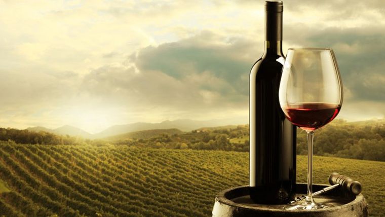 Vino argentino: oportunidades en el exterior.