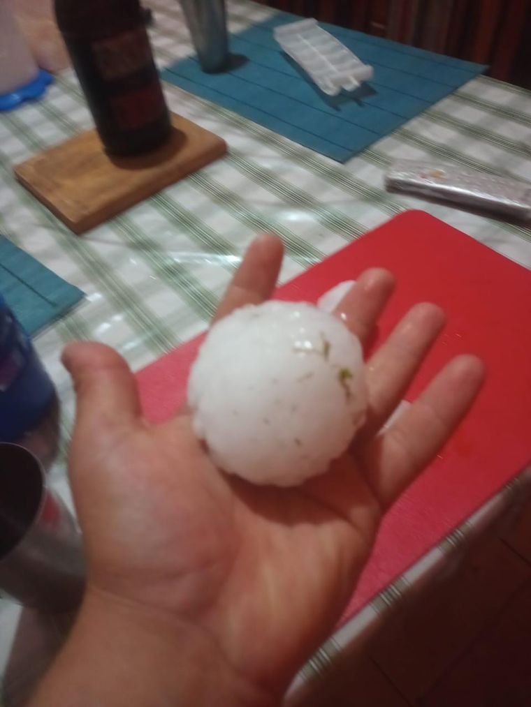 Foto: Nico Cirrincione