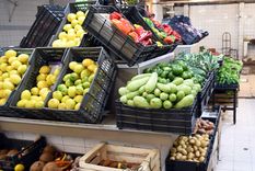 Foto: ALF PONCE MERCADO / MDZ