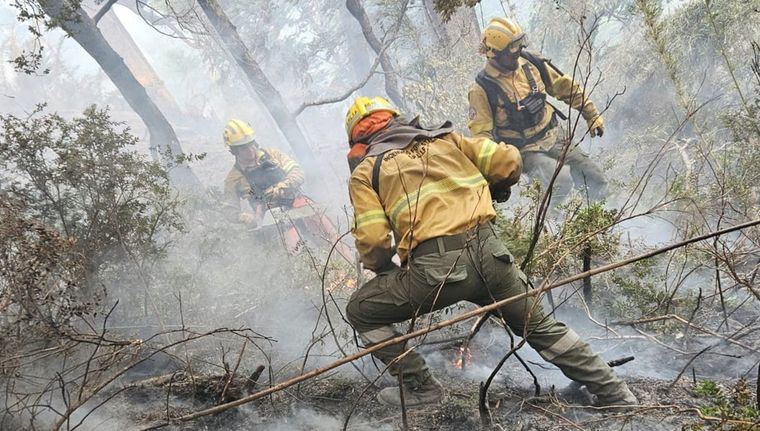 Conmoción por los incendios en el sur del país Foto: Gobierno de Río Negro
