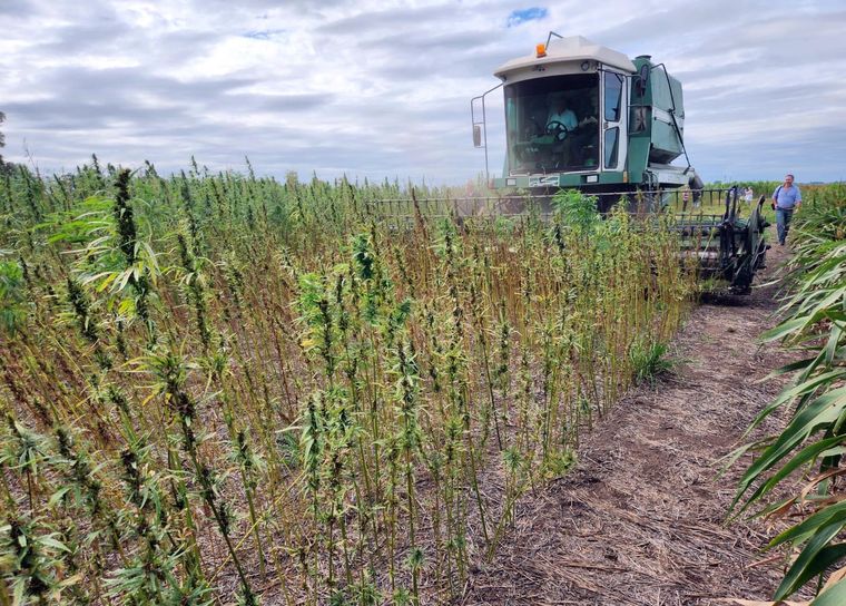 Foto: Noticias Argentinas