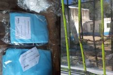 Los barbijos sustraídos y la ventana forzada de una de las salitas violentadas