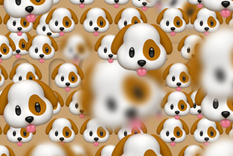 ACERTIJO VISUAL ACERTIJO VISUAL, RETO VISUAL, MONO Foto: MDZ ONLINE