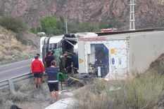El camión quedó a un costado de la ruta 7