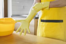 Nunca más compraras productos de limpieza. Foto: Fuente: Freepik