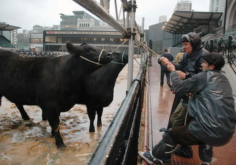 Esta semana se inició la tradicional exposición rural de Palermo. Foto: NA
