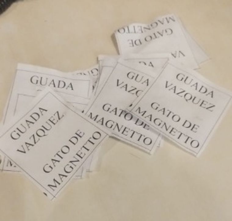 Agravios a Guadalupe Vázquez. Agravios a Guadalupe Vázquez.