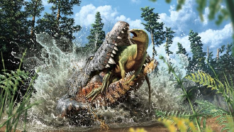 Ilustración del Confractosuchus sauroktonos. Foto: Australian Age of Dinosaurs