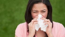 Foto: Shutterstock