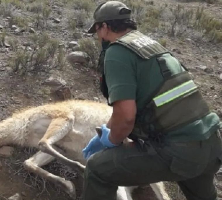 (Foto Diario de Cuyo)