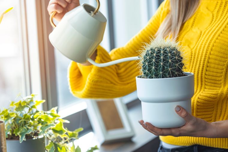Cómo tener un jardín saludable en invierno. Foto: Shuterstock
