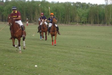 MDZol | Los polistas detrás de la pelota.