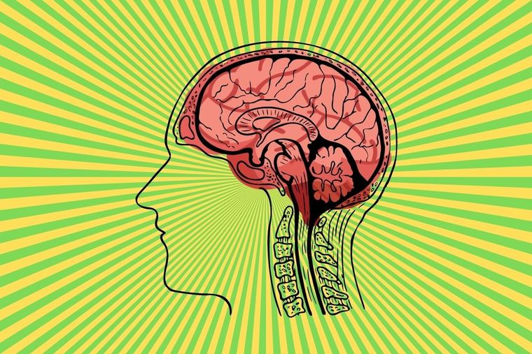 Test visual Test visual, percepción, Ilusión óptica Foto: Canva